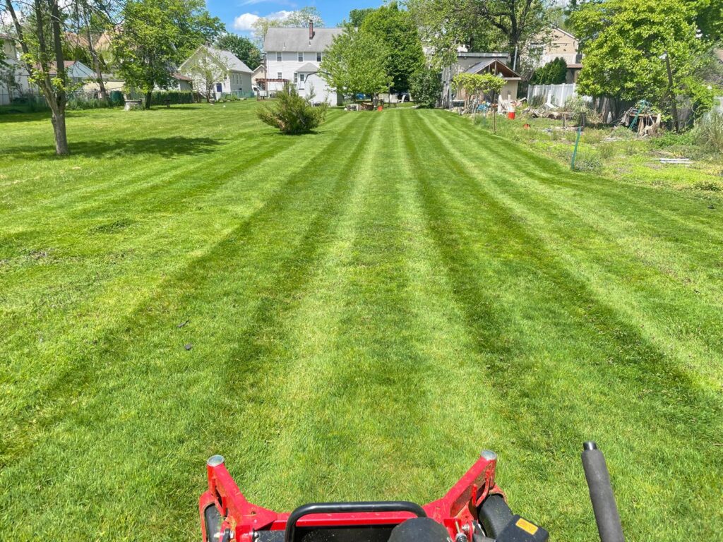 Big-Backyard-Lawn-Manteinance