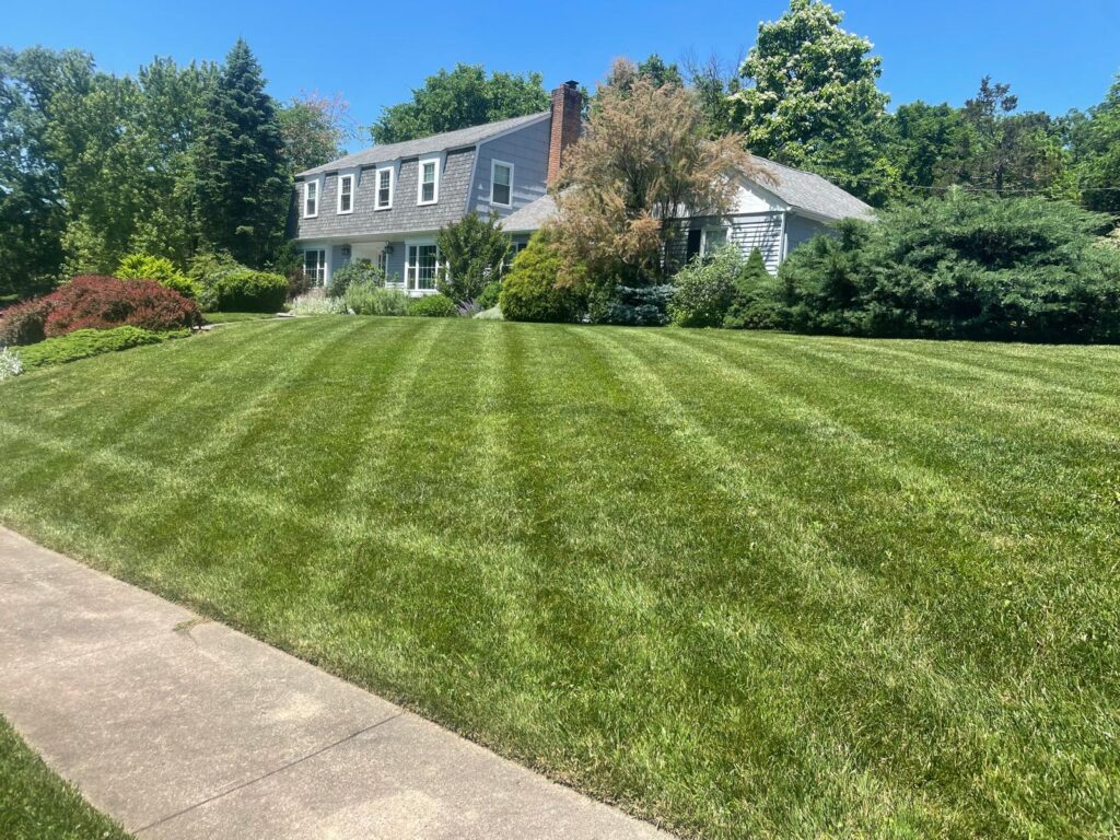 House-Lanscape