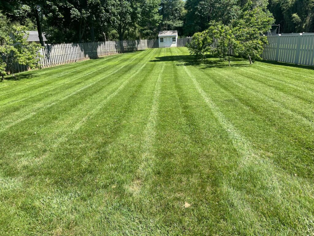 back-landscaping-maintenance