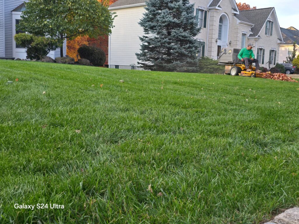 lawn-maintenance-client