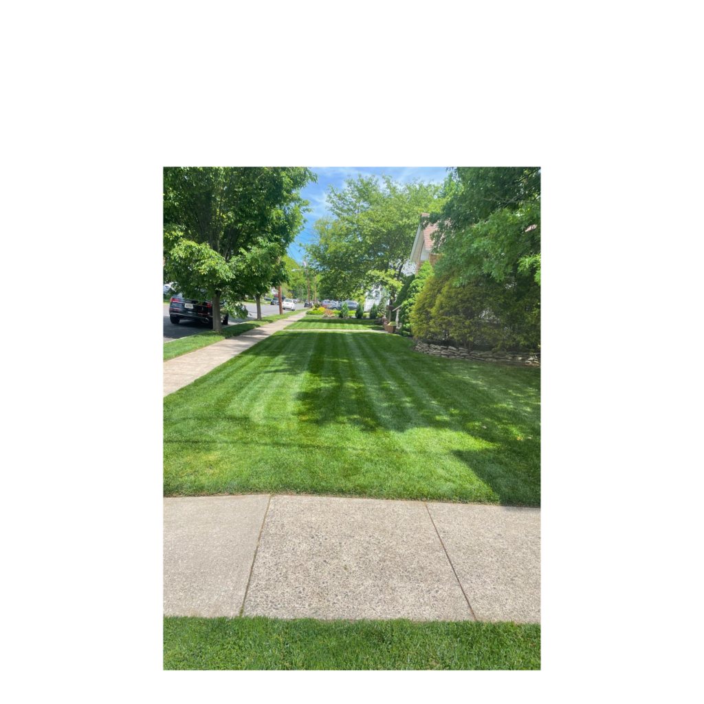 Landscaping Services
