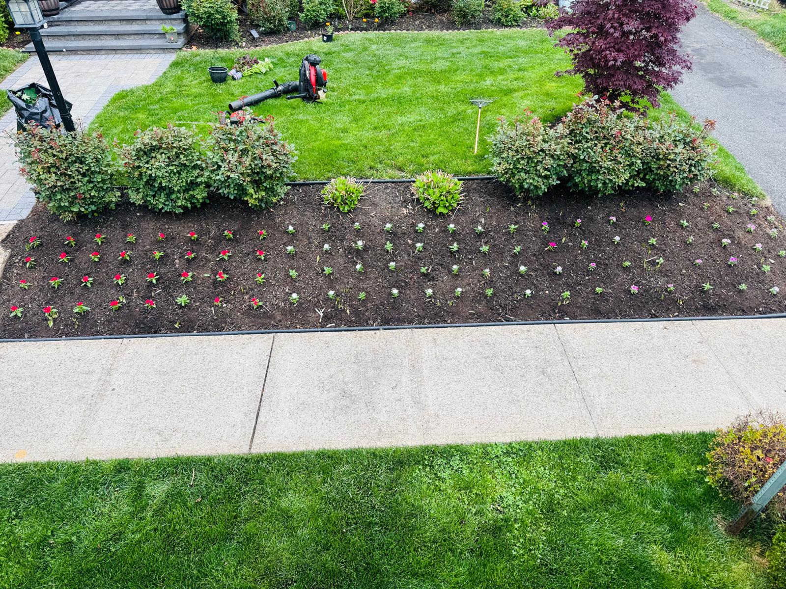 Annual flower planting in a New Jersey landscape