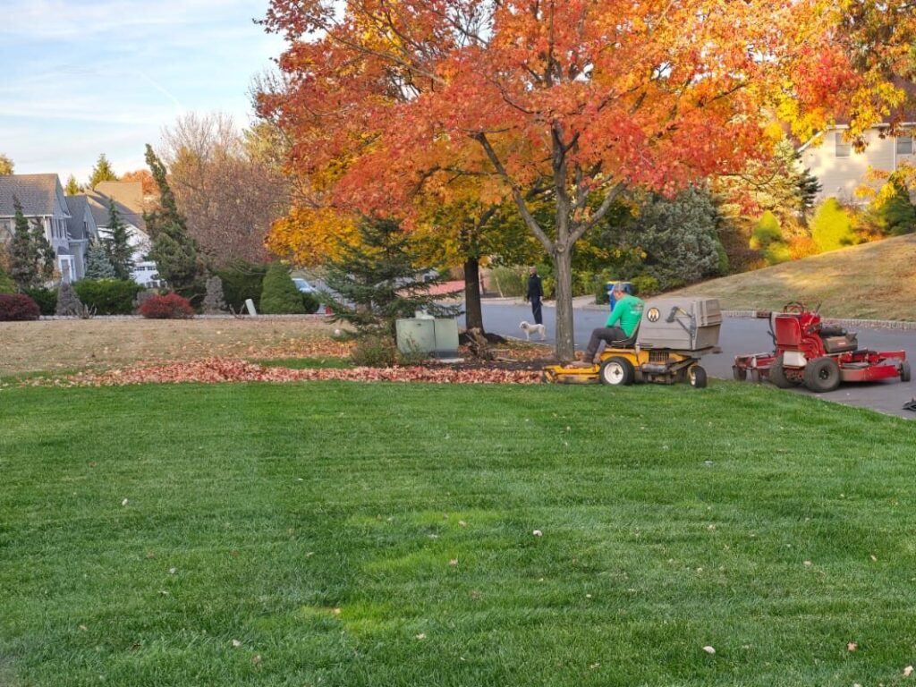 leaf-cleaning-landscape