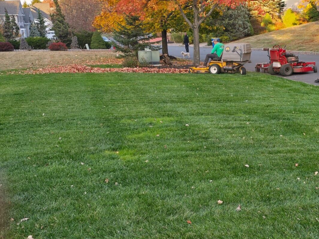 leaf-cleaning-landscape