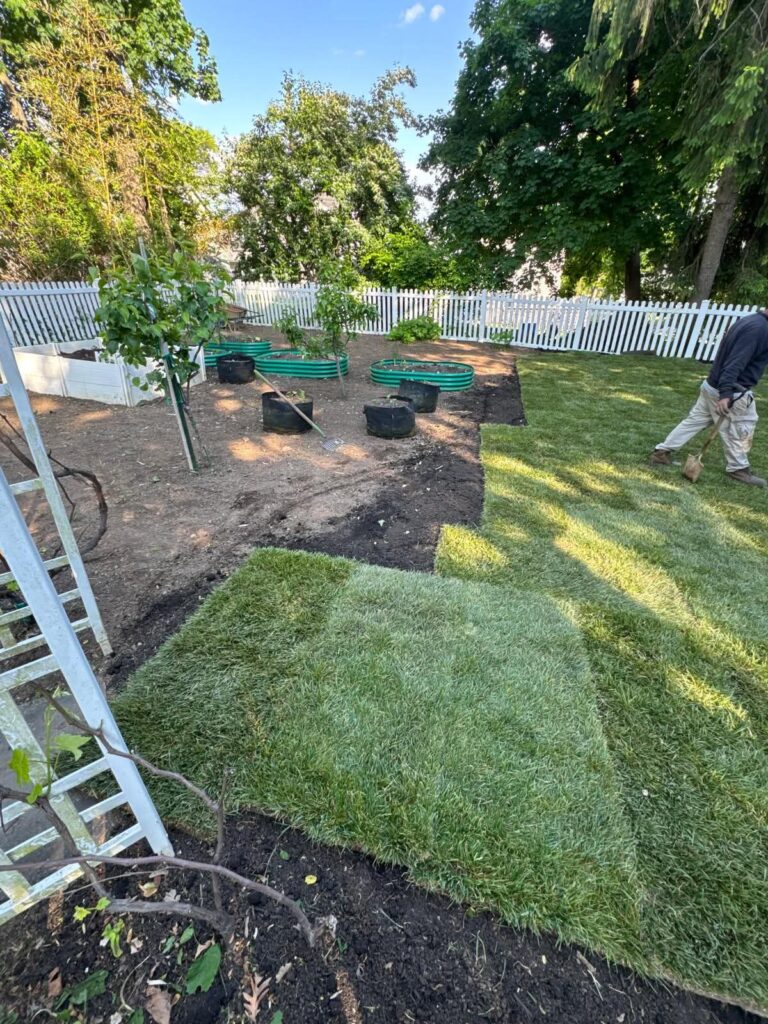 Sod installation process in a New Jersey yard