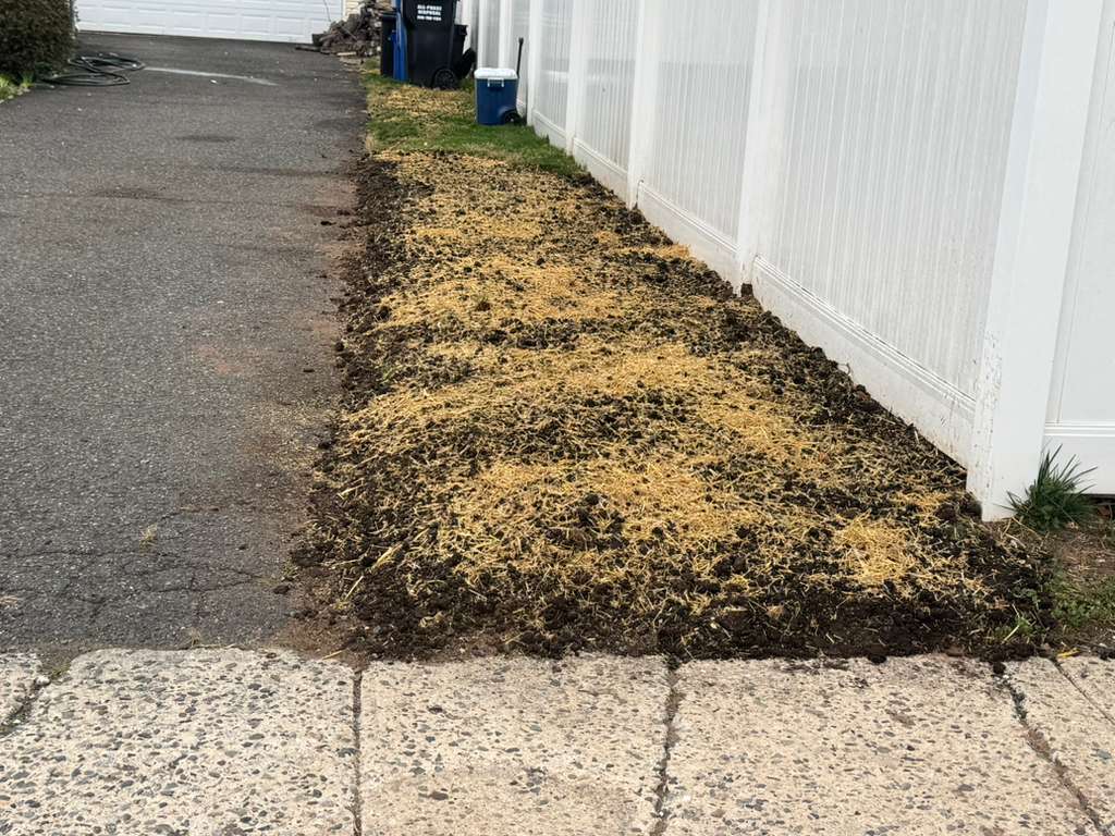 Lawn seeding service in New Jersey